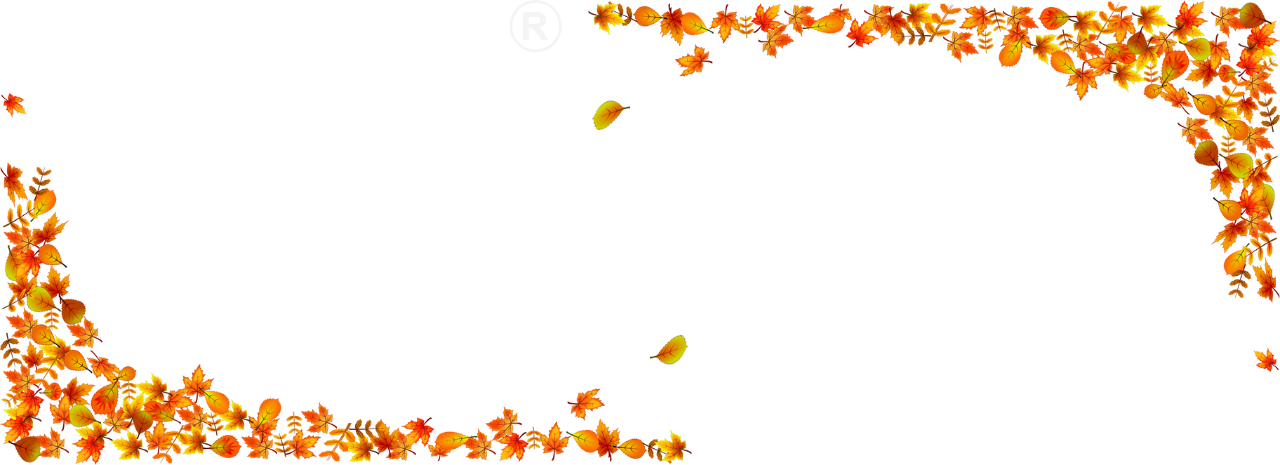 gardis.cz